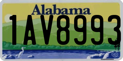 AL license plate 1AV8993