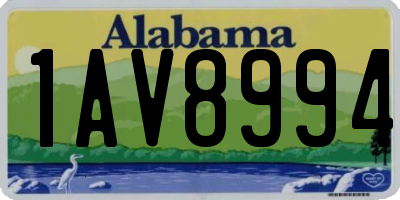 AL license plate 1AV8994