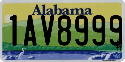 AL license plate 1AV8999