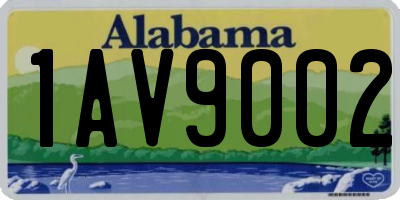 AL license plate 1AV9002