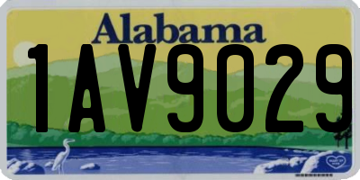 AL license plate 1AV9029