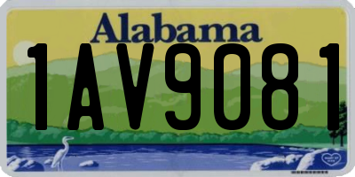 AL license plate 1AV9081