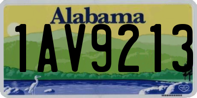 AL license plate 1AV9213