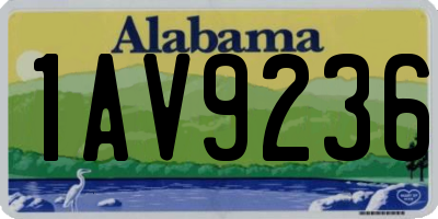 AL license plate 1AV9236