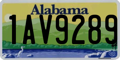 AL license plate 1AV9289