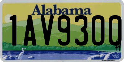 AL license plate 1AV9300