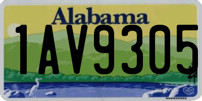 AL license plate 1AV9305