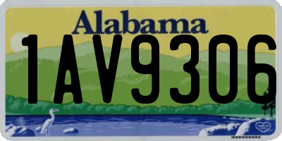 AL license plate 1AV9306