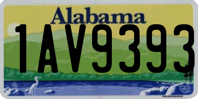 AL license plate 1AV9393