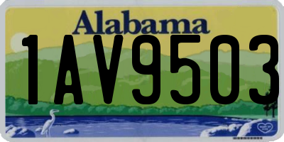 AL license plate 1AV9503