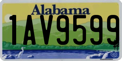 AL license plate 1AV9599