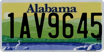 AL license plate 1AV9645