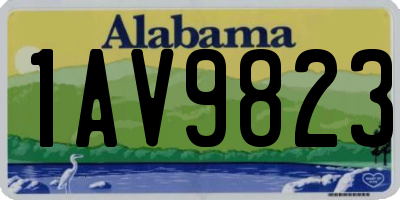 AL license plate 1AV9823