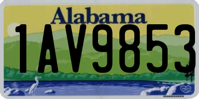 AL license plate 1AV9853