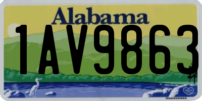 AL license plate 1AV9863