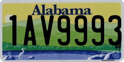 AL license plate 1AV9993