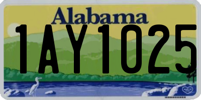 AL license plate 1AY1025