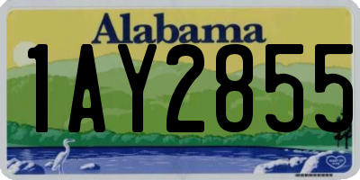 AL license plate 1AY2855