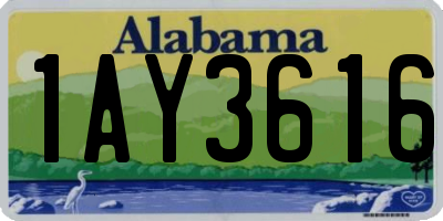 AL license plate 1AY3616