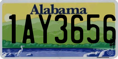 AL license plate 1AY3656