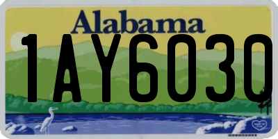 AL license plate 1AY6030