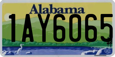 AL license plate 1AY6065