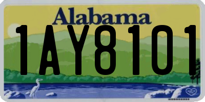 AL license plate 1AY8101