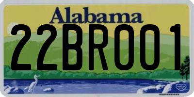 AL license plate 22BR001