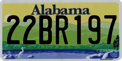 AL license plate 22BR197
