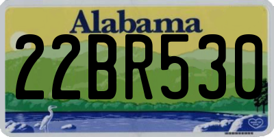 AL license plate 22BR530