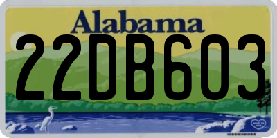 AL license plate 22DB603