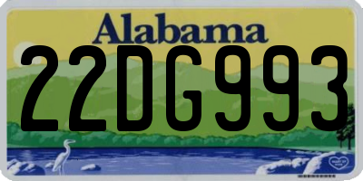 AL license plate 22DG993