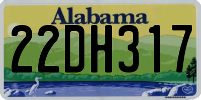 AL license plate 22DH317