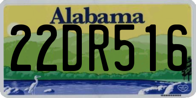 AL license plate 22DR516