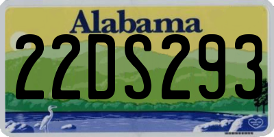 AL license plate 22DS293