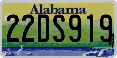 AL license plate 22DS919