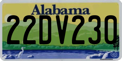 AL license plate 22DV230