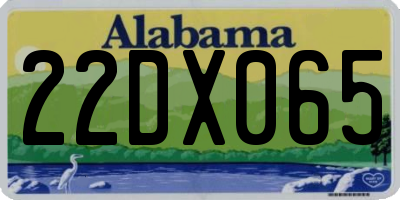 AL license plate 22DX065