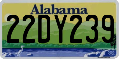 AL license plate 22DY239