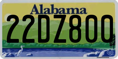 AL license plate 22DZ800
