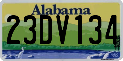 AL license plate 23DV134