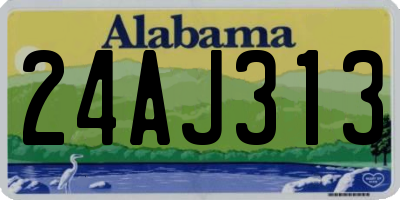 AL license plate 24AJ313