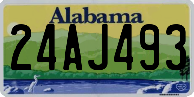 AL license plate 24AJ493