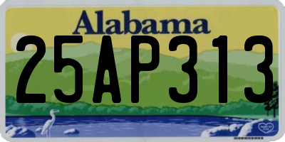 AL license plate 25AP313