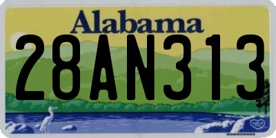 AL license plate 28AN313