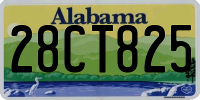 AL license plate 28CT825