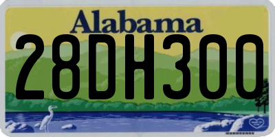AL license plate 28DH300