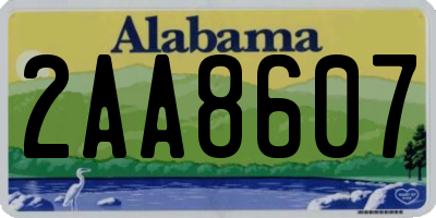 AL license plate 2AA8607