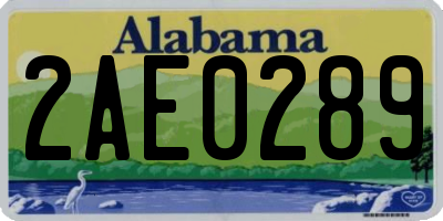 AL license plate 2AE0289