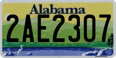 AL license plate 2AE2307